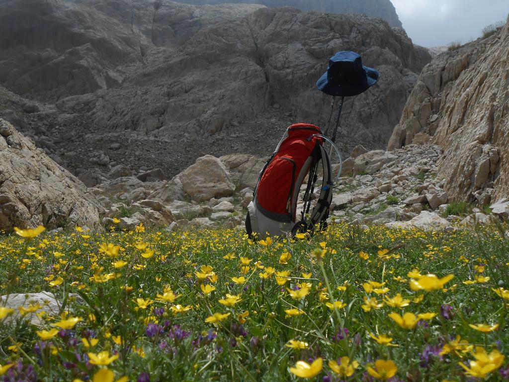 Taurus Guest House Cukurbag  Εξωτερικό φωτογραφία